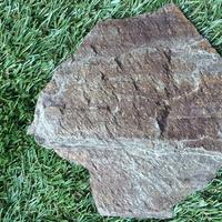 Фото природный камень златолит "Старая Англия" 7 Камней