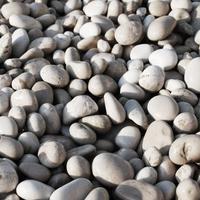 Фото морской круглой гальки серого цвета от 7 Камней К-групп